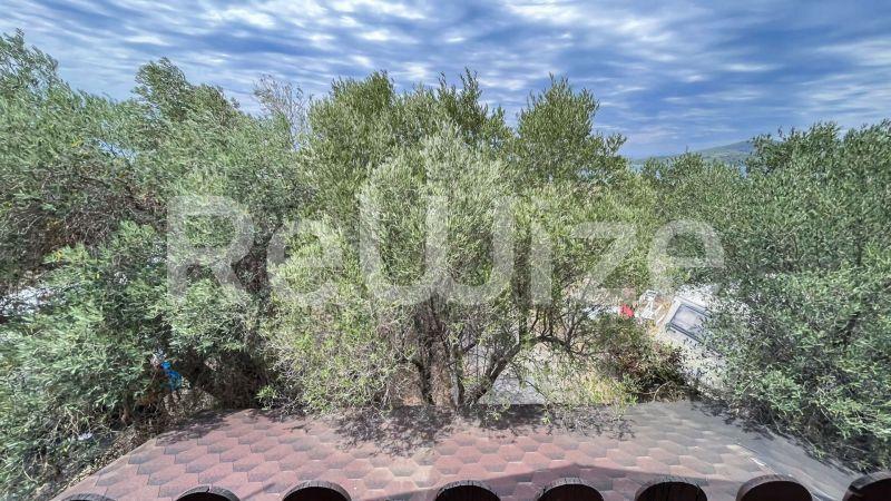 Photo 30,Κήπος,ΠΏΛΗΣΗ,Κατοικία,Μονοκατοικία,60τ.μ,€160,000,Κουμίτσα