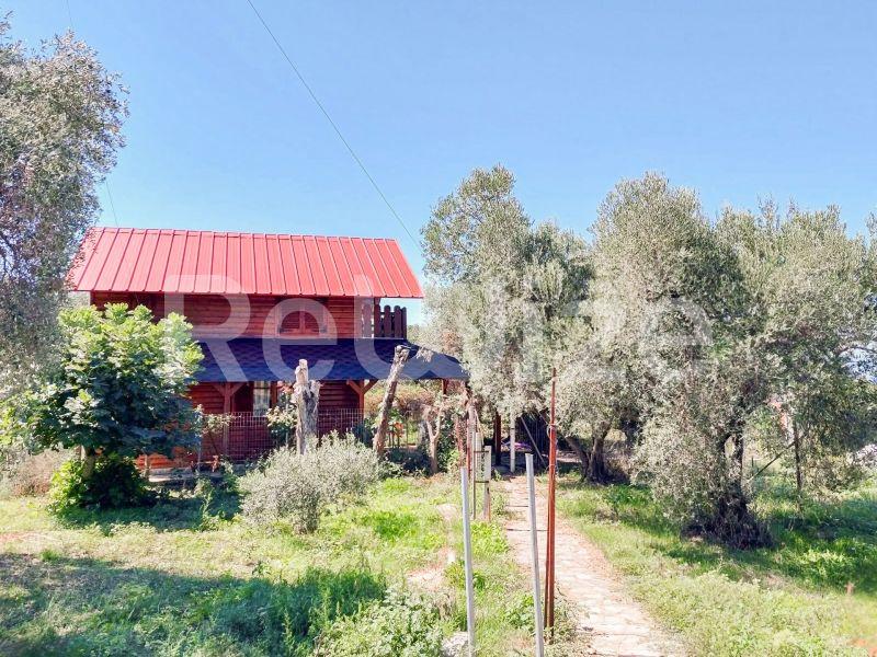 Photo 26,Εξωτερική,ΠΏΛΗΣΗ,Κατοικία,Μονοκατοικία,60τ.μ,€160,000,Κουμίτσα