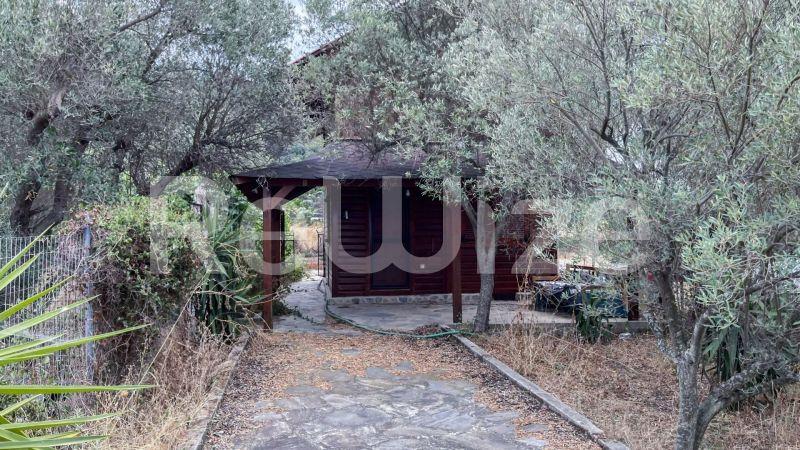 Photo 24,Εξωτερική,ΠΏΛΗΣΗ,Κατοικία,Μονοκατοικία,60τ.μ,€160,000,Κουμίτσα