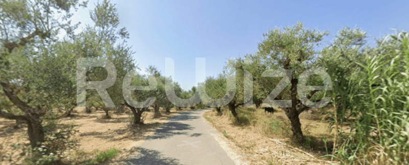 Photo 2,Κήπος,ΕΝΟΙΚΊΑΣΗ,Γη,Αγροτεμάχιο,4460τ.μ,€88,000,Ζάκυνθος