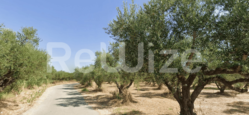 Photo 3,Κήπος,ΕΝΟΙΚΊΑΣΗ,Γη,Αγροτεμάχιο,4460τ.μ,€88,000,Ζάκυνθος