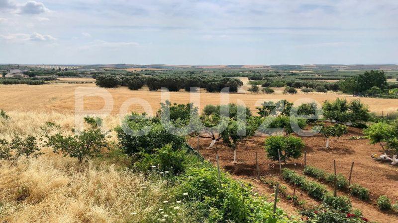 Photo 4,Πανοραμική Θέα,ΠΏΛΗΣΗ,Κατοικία,Μονοκατοικία,340τ.μ,€280,000,Νέα Τρίγλια