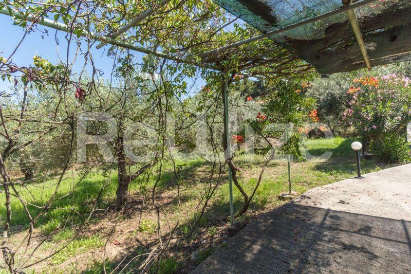 Photo 14,Εξωτερική,ΠΏΛΗΣΗ,Κατοικία,Μονοκατοικία,50τ.μ,€230,000,Άγιος Νικόλαος