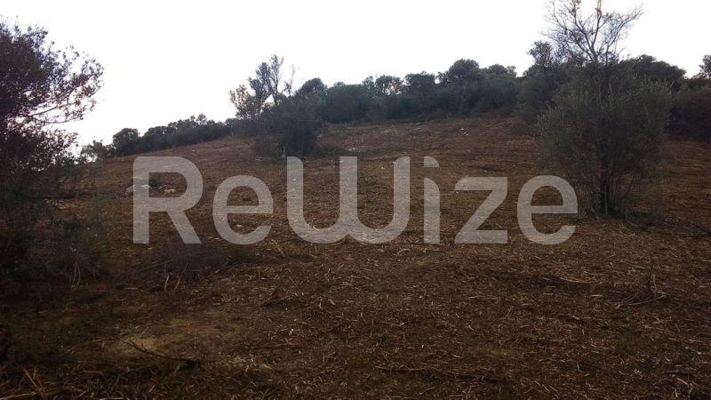 Photo 5,Outside,SALE,Land,Field,4483sqm,€160,000,Ammouliani