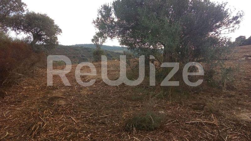 Photo 6,Outside,SALE,Land,Field,4483sqm,€160,000,Ammouliani