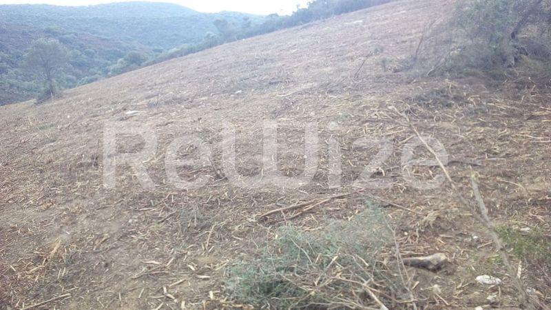 Photo 7,Beach,SALE,Land,Field,4483sqm,€160,000,Ammouliani