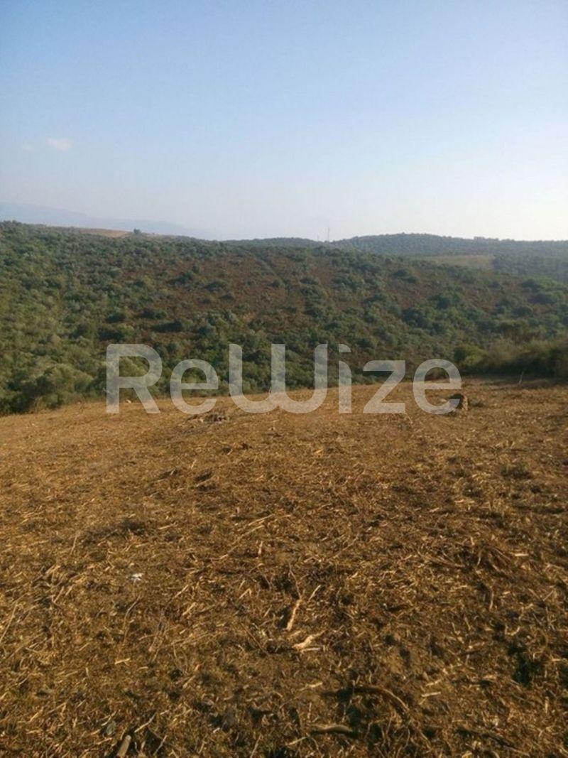 Photo 3,Outside,SALE,Land,Field,4483sqm,€160,000,Ammouliani