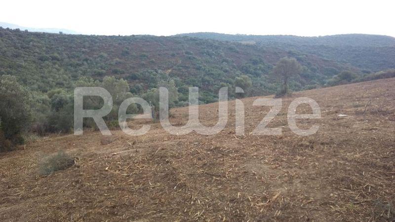 Photo 8,Outside,SALE,Land,Field,4483sqm,€160,000,Ammouliani