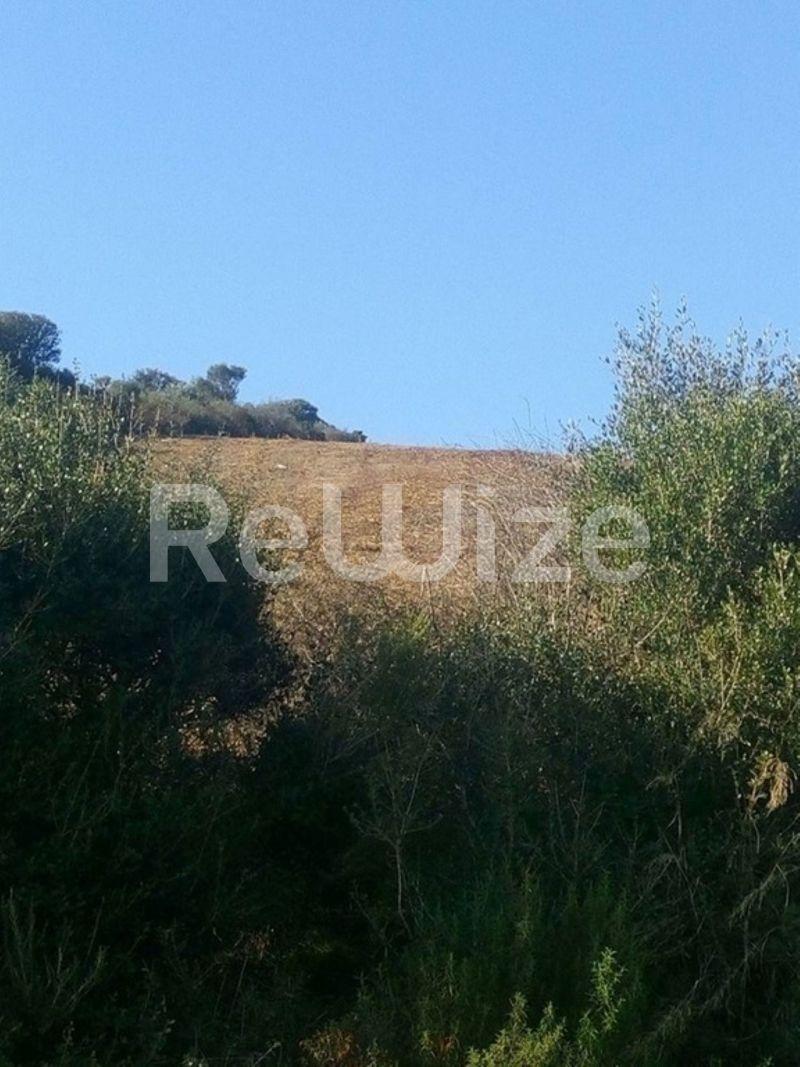 Photo 1,Outside,SALE,Land,Field,4483sqm,€160,000,Ammouliani