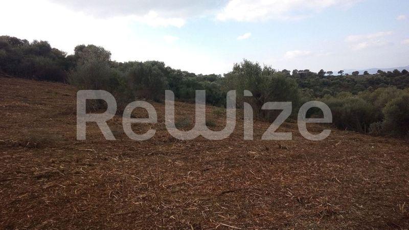 Photo 4,Outside,SALE,Land,Field,4483sqm,€160,000,Ammouliani