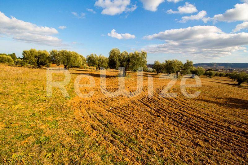 Photo 8,Εξωτερική,ΠΏΛΗΣΗ,Γη,Αγροτεμάχιο,11558τ.μ,€480,000,Κασσάνδρεια
