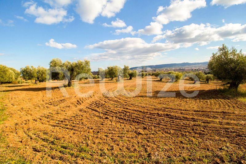 Photo 7,Πανοραμική Θέα,ΠΏΛΗΣΗ,Γη,Αγροτεμάχιο,11558τ.μ,€480,000,Κασσάνδρεια