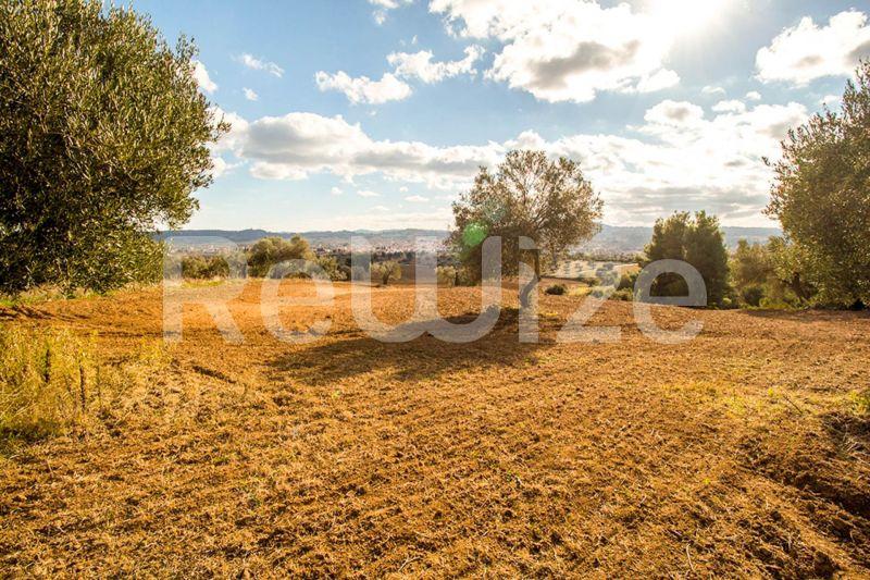Photo 9,Εξωτερική,ΠΏΛΗΣΗ,Γη,Αγροτεμάχιο,11558τ.μ,€480,000,Κασσάνδρεια