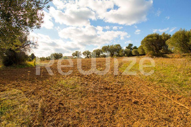 Photo 6,Εξωτερική,ΠΏΛΗΣΗ,Γη,Αγροτεμάχιο,11558τ.μ,€480,000,Κασσάνδρεια