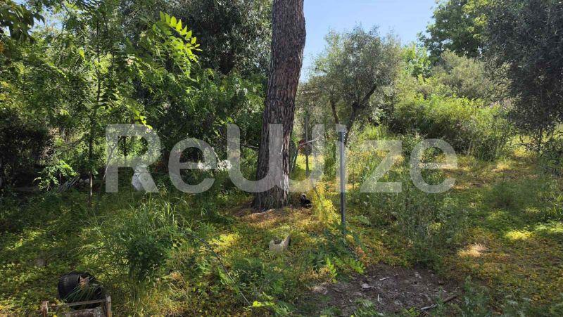 Photo 7,Κήπος,ΕΝΟΙΚΊΑΣΗ,Κατοικία,Μονοκατοικία,58τ.μ,€550,Μαλακάσα
