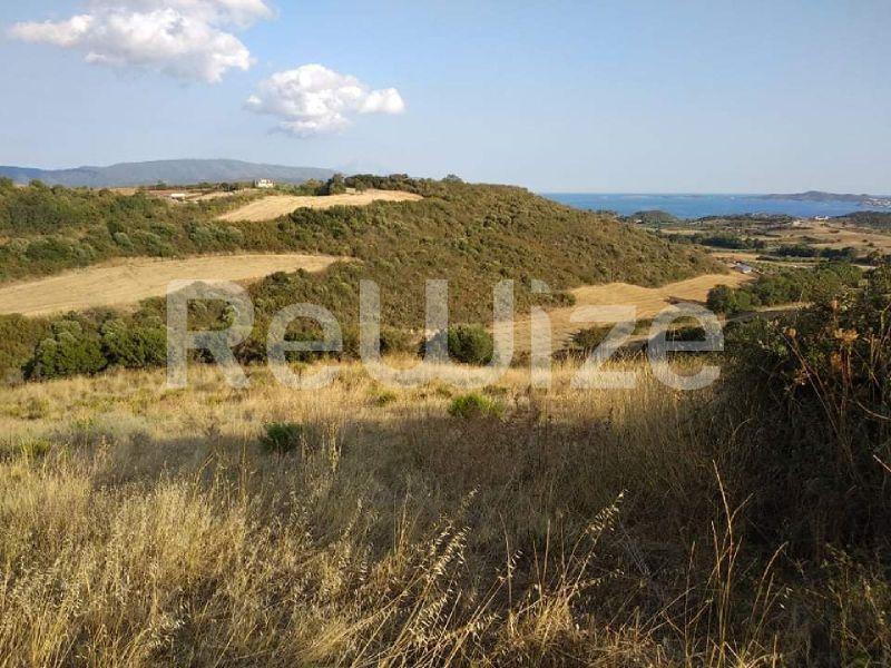 Photo 10,Εξωτερική,ΠΏΛΗΣΗ,Γη,Αγροτεμάχιο,6857τ.μ,€220,000,Νέα Ρόδα