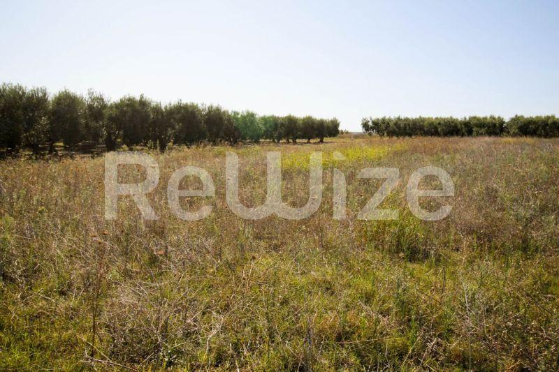 Photo 10,Outside,SALE,Land,Plot,860sqm,€80,000,Kalives