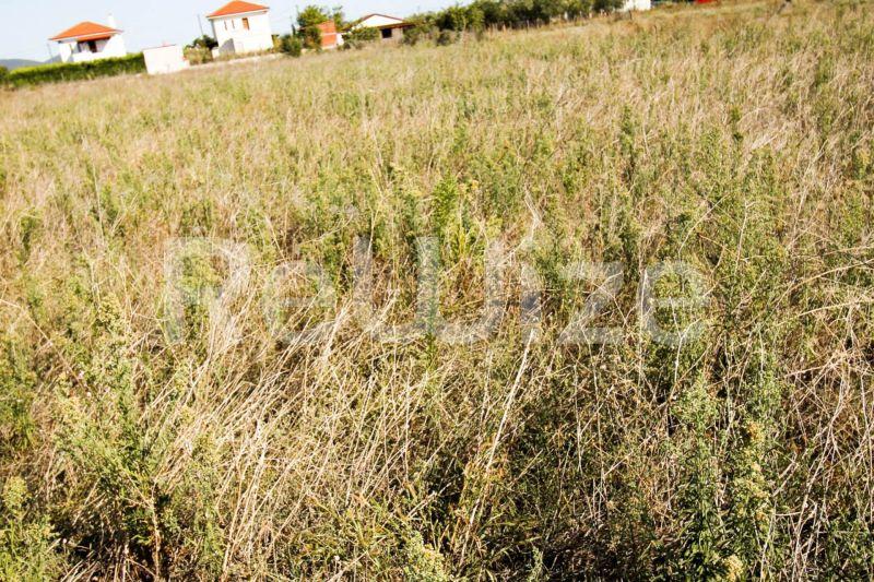 Photo 2,Outside,SALE,Land,Plot,860sqm,€80,000,Kalives