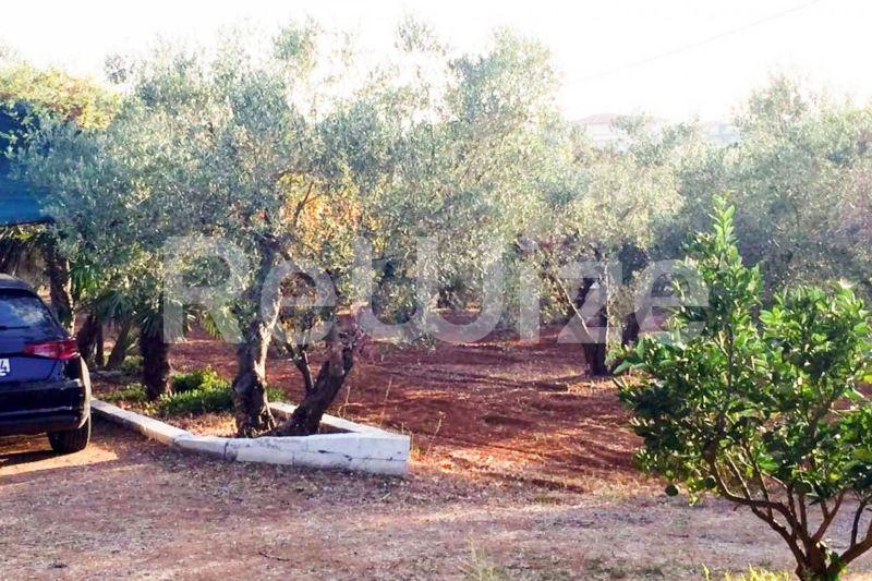 Photo 7,Εξωτερική,ΠΏΛΗΣΗ,Γη,Αγροτεμάχιο,3000τ.μ,€200,000,Νέα Ποτίδαια