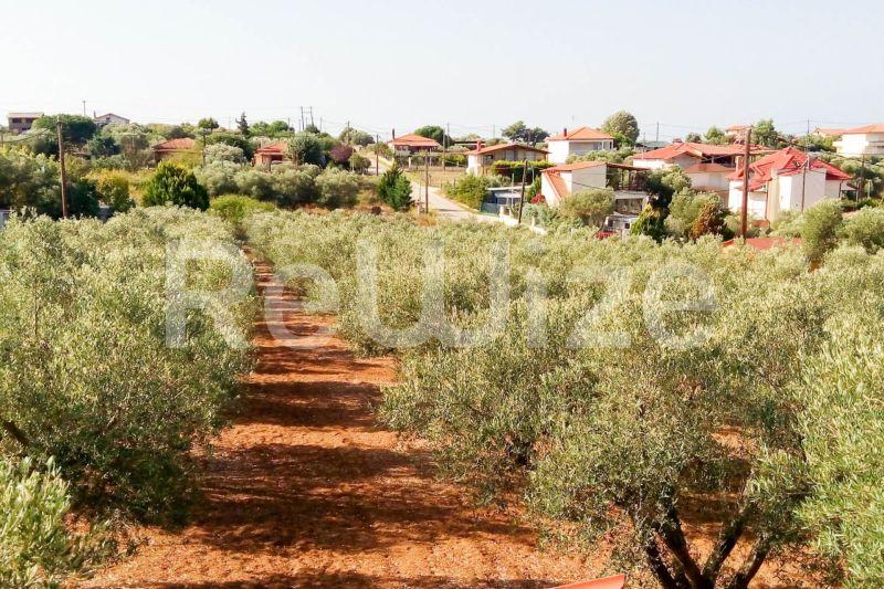 Photo 11,Εξωτερική,ΠΏΛΗΣΗ,Γη,Αγροτεμάχιο,3000τ.μ,€200,000,Νέα Ποτίδαια