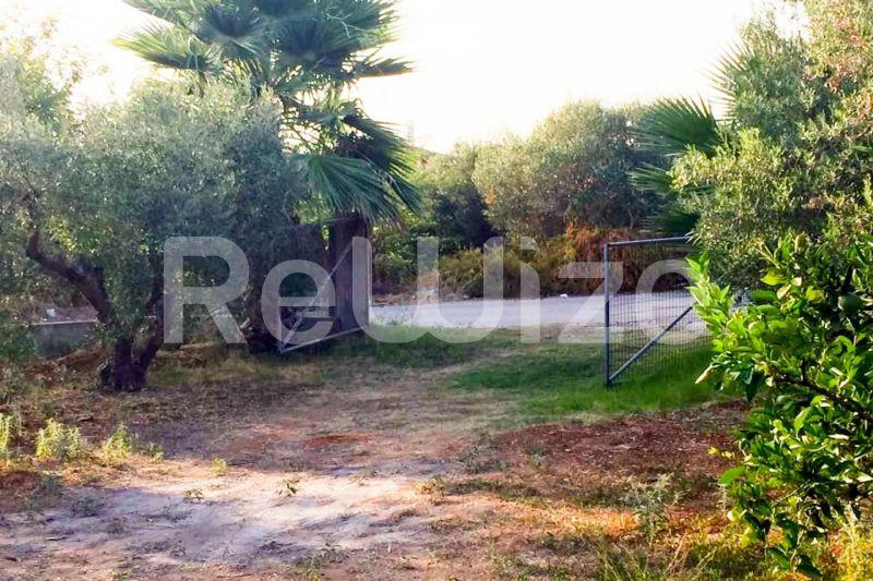 Photo 3,Εξωτερική,ΠΏΛΗΣΗ,Γη,Αγροτεμάχιο,3000τ.μ,€200,000,Νέα Ποτίδαια