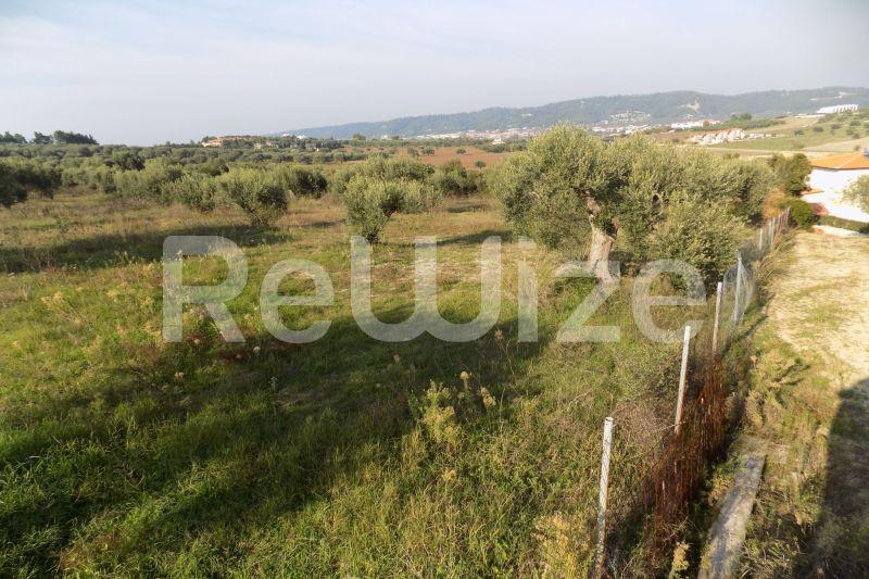 Photo 17,Outside,SALE,Land,Field,5300sqm,€165,000,Poseidi