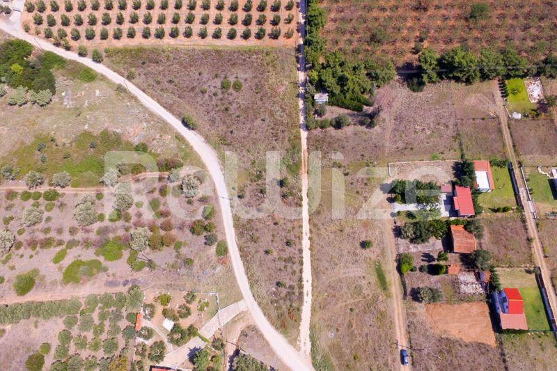 Photo 5,Outside,SALE,Land,Field,4062sqm,€100,000,Nea Potidaia