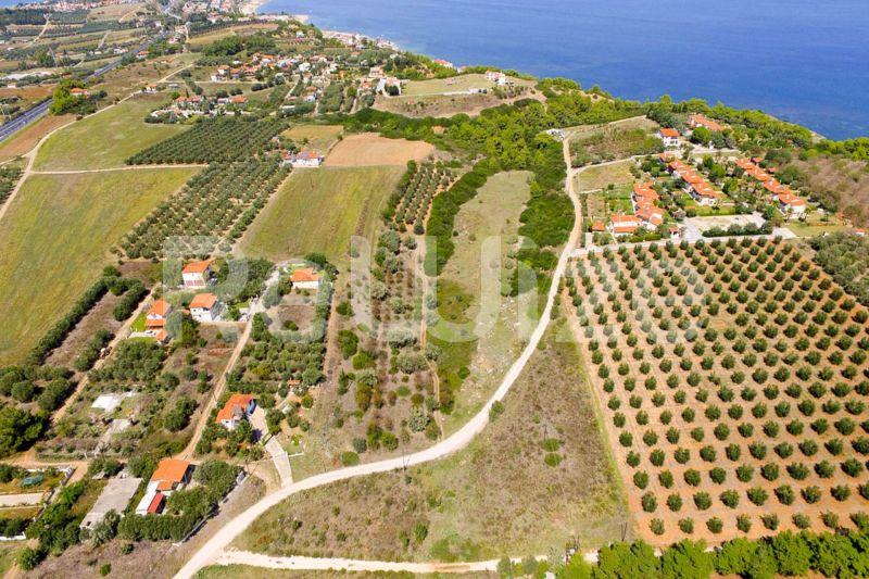 Photo 3,Sea View,SALE,Land,Field,4062sqm,€100,000,Nea Potidaia