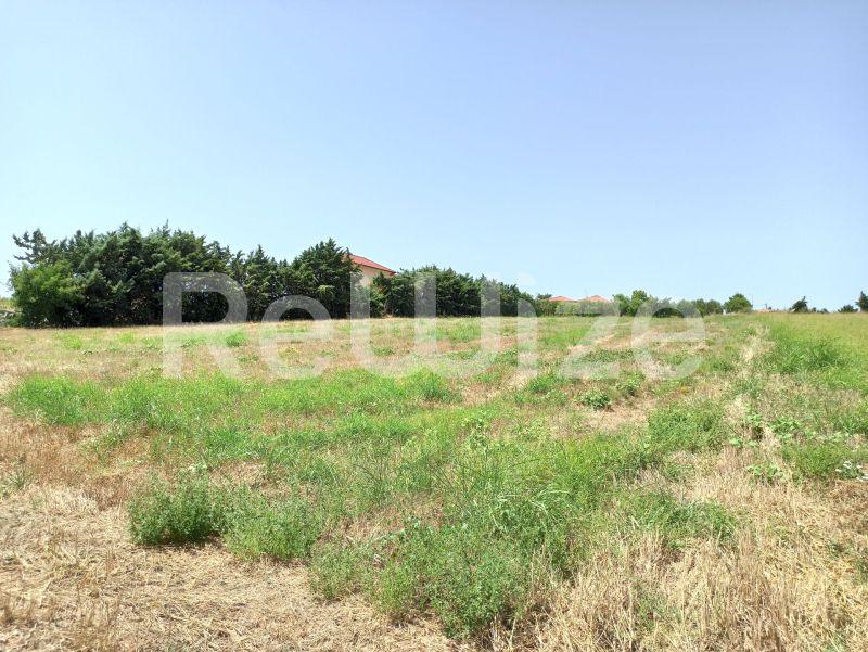 Photo 4,Τοπίο,ΠΏΛΗΣΗ,Γη,Αγροτεμάχιο,4262τ.μ,€100,000,Νέα Μουδανιά