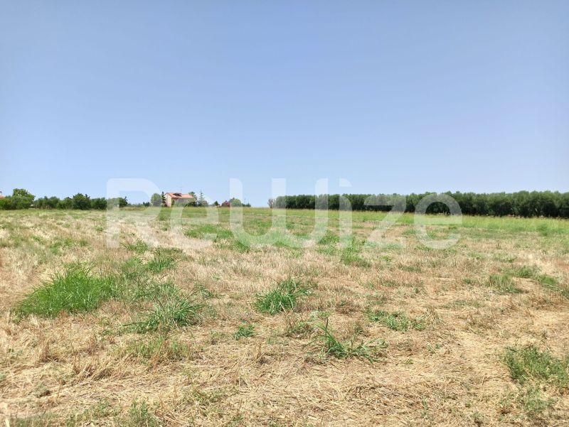 Photo 3,Τοπίο,ΠΏΛΗΣΗ,Γη,Αγροτεμάχιο,4262τ.μ,€100,000,Νέα Μουδανιά