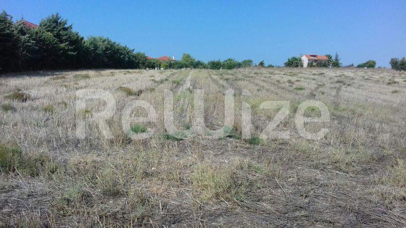Photo 8,Τοπίο,ΠΏΛΗΣΗ,Γη,Αγροτεμάχιο,4262τ.μ,€100,000,Νέα Μουδανιά