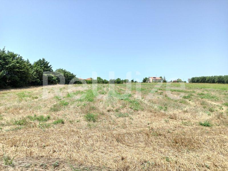 Photo 2,Τοπίο,ΠΏΛΗΣΗ,Γη,Αγροτεμάχιο,4262τ.μ,€100,000,Νέα Μουδανιά