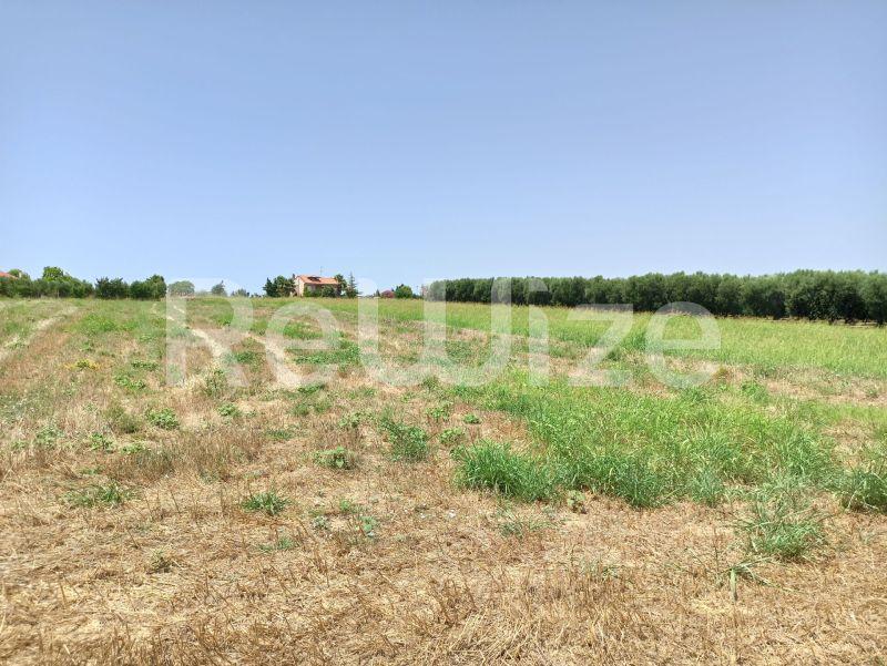 Photo 1,Τοπίο,ΠΏΛΗΣΗ,Γη,Αγροτεμάχιο,4262τ.μ,€100,000,Νέα Μουδανιά
