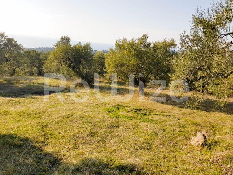 Photo 3,Εξωτερική,ΠΏΛΗΣΗ,Γη,Αγροτεμάχιο,8500τ.μ,€140,000,Παρθενώνας