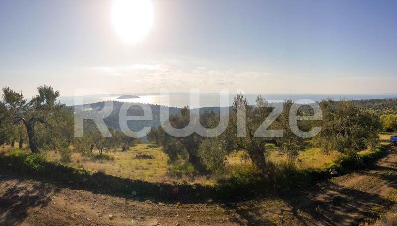 Photo 9,Θέα στη θάλασσα,ΠΏΛΗΣΗ,Γη,Αγροτεμάχιο,8500τ.μ,€140,000,Παρθενώνας