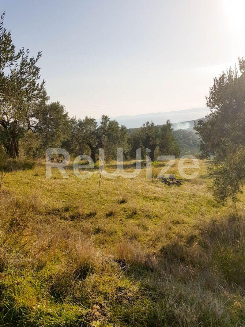 Photo 14,Εξωτερική,ΠΏΛΗΣΗ,Γη,Αγροτεμάχιο,8500τ.μ,€140,000,Παρθενώνας