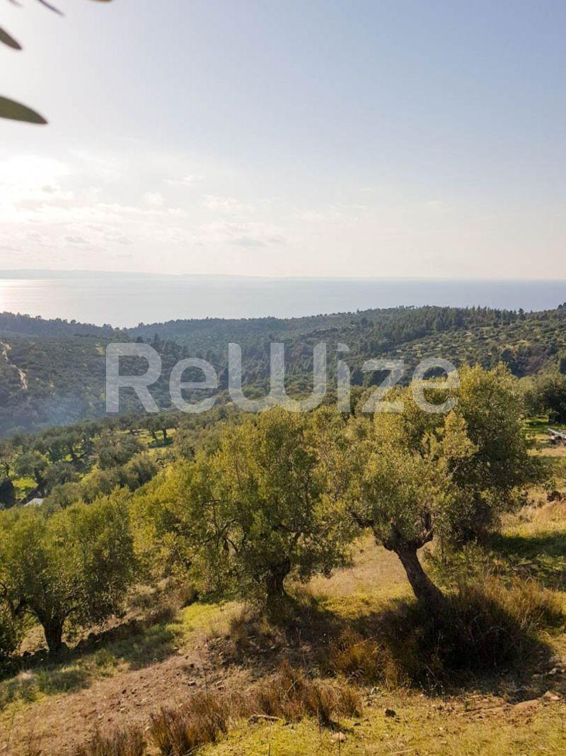 Photo 15,Εξωτερική,ΠΏΛΗΣΗ,Γη,Αγροτεμάχιο,8500τ.μ,€140,000,Παρθενώνας