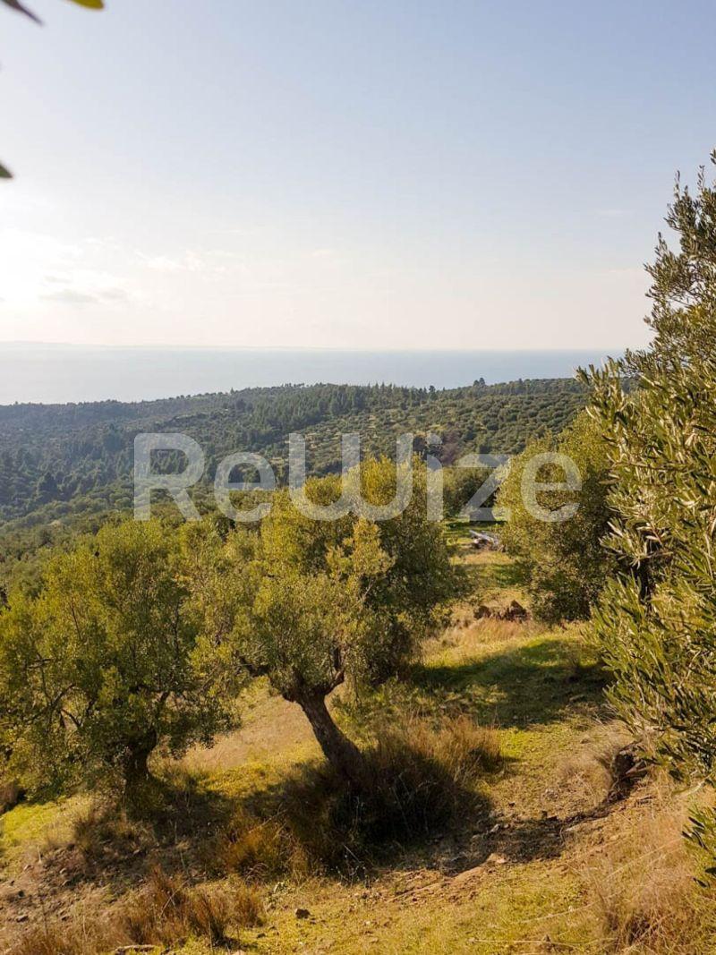 Photo 6,Εξωτερική,ΠΏΛΗΣΗ,Γη,Αγροτεμάχιο,8500τ.μ,€140,000,Παρθενώνας