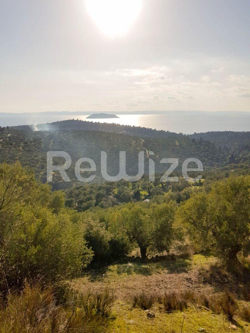 Photo 4,Θέα στη θάλασσα,ΠΏΛΗΣΗ,Γη,Αγροτεμάχιο,8500τ.μ,€140,000,Παρθενώνας