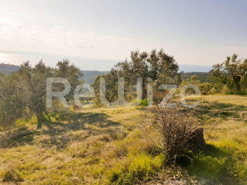 Photo 10,Εξωτερική,ΠΏΛΗΣΗ,Γη,Αγροτεμάχιο,8500τ.μ,€140,000,Παρθενώνας
