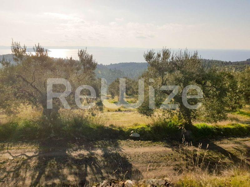 Photo 7,Εξωτερική,ΠΏΛΗΣΗ,Γη,Αγροτεμάχιο,8500τ.μ,€140,000,Παρθενώνας
