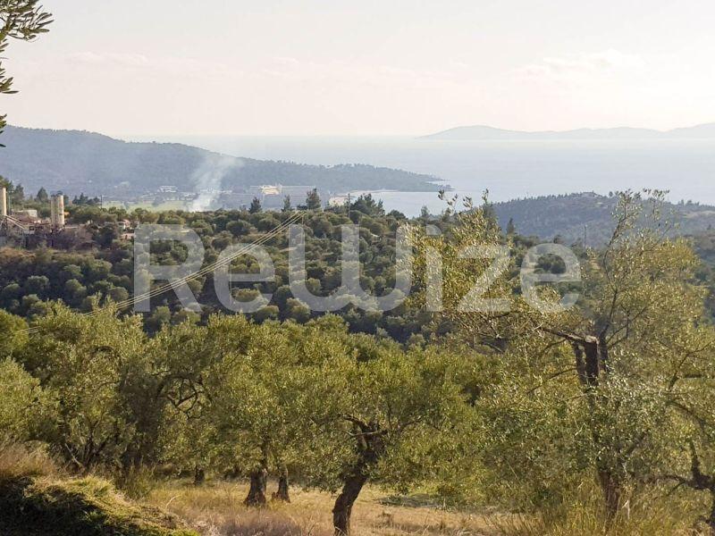 Photo 13,Θέα στη θάλασσα,ΠΏΛΗΣΗ,Γη,Αγροτεμάχιο,8500τ.μ,€140,000,Παρθενώνας