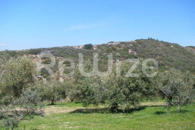 Photo 4,Θέα στο Βουνό,ΠΏΛΗΣΗ,Γη,Αγροτεμάχιο,4995τ.μ,€50,000,Νέα Σκιώνη