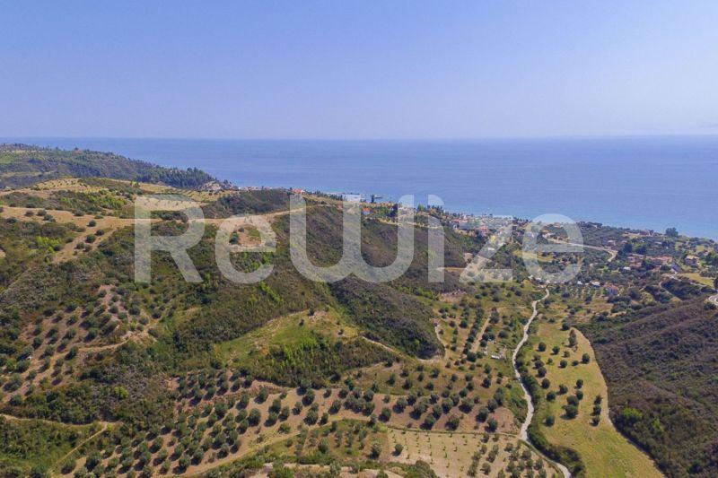 Photo 2,Πανοραμική Θέα,ΠΏΛΗΣΗ,Γη,Αγροτεμάχιο,4995τ.μ,€50,000,Νέα Σκιώνη