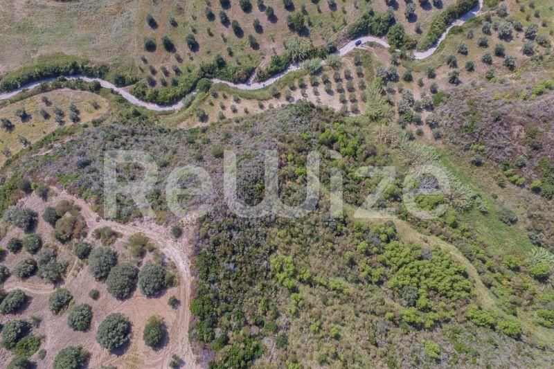 Photo 3,Πανοραμική Θέα,ΠΏΛΗΣΗ,Γη,Αγροτεμάχιο,4995τ.μ,€50,000,Νέα Σκιώνη