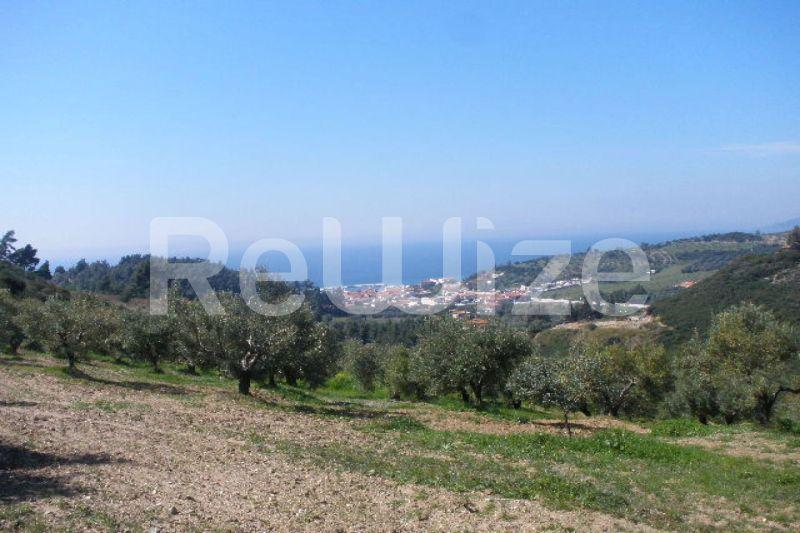 Photo 1,Θέα στη θάλασσα,ΠΏΛΗΣΗ,Γη,Αγροτεμάχιο,4995τ.μ,€50,000,Νέα Σκιώνη