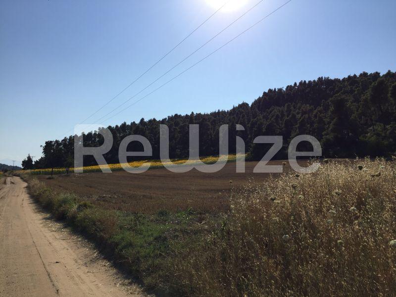 Photo 19,Landscape,SALE,Land,Field,4500sqm,€100,000,Elani