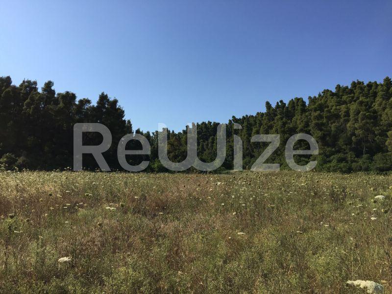 Photo 5,Landscape,SALE,Land,Field,4500sqm,€100,000,Elani