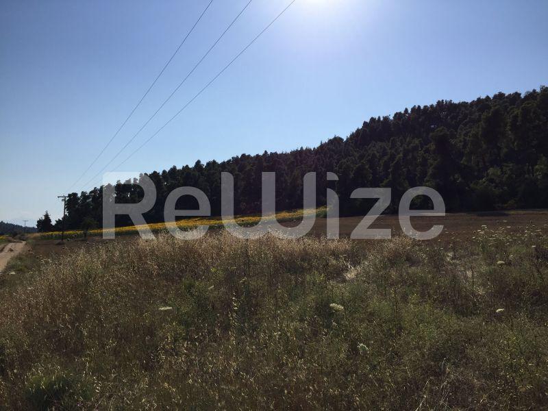Photo 16,Landscape,SALE,Land,Field,4500sqm,€100,000,Elani