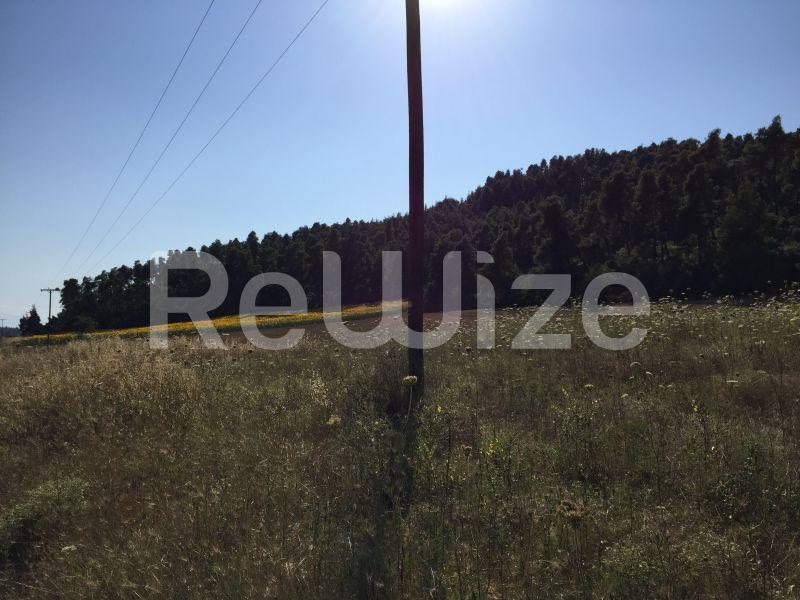 Photo 4,Landscape,SALE,Land,Field,4500sqm,€100,000,Elani